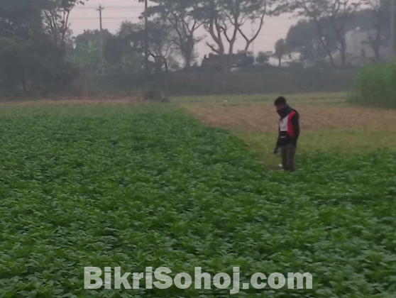 সরকারি কাচা  রাস্তার সাথে জমি বিক্রি রাজশাহী